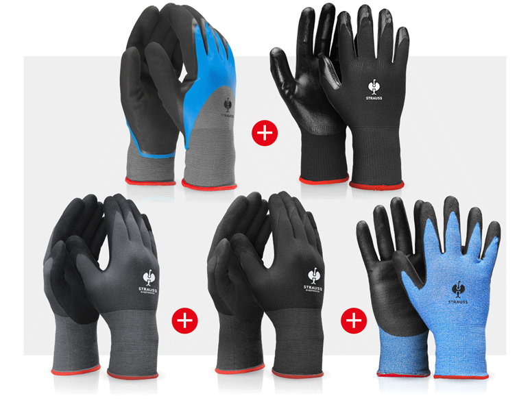 Main view, Personal Protection, Professional glove set automobile II