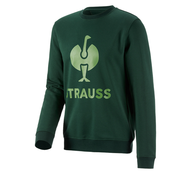 Main view, Overview of the e.s. collections, Sweatshirt e.s.motion 2020, green/seagreen