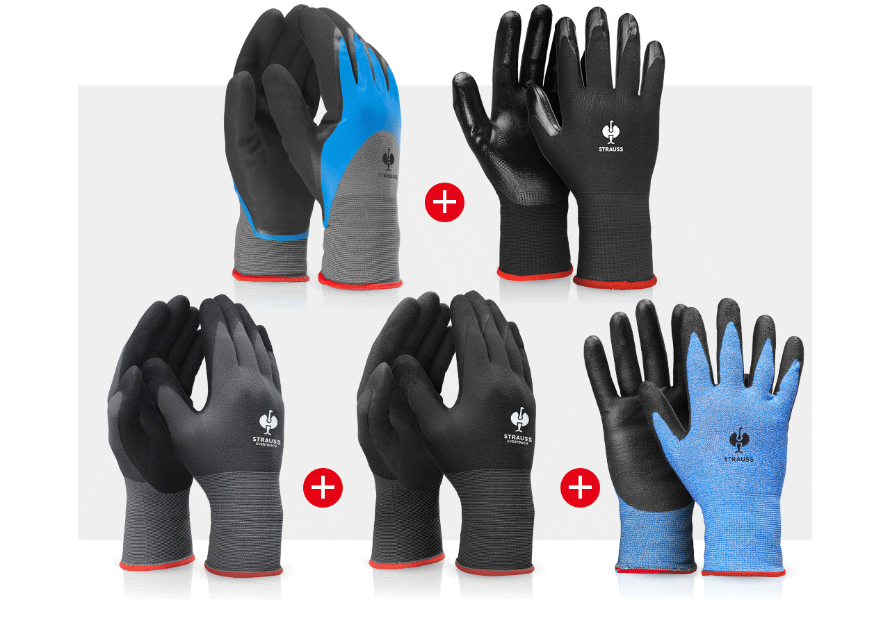 Sets | Accessories: Professional glove set automobile II