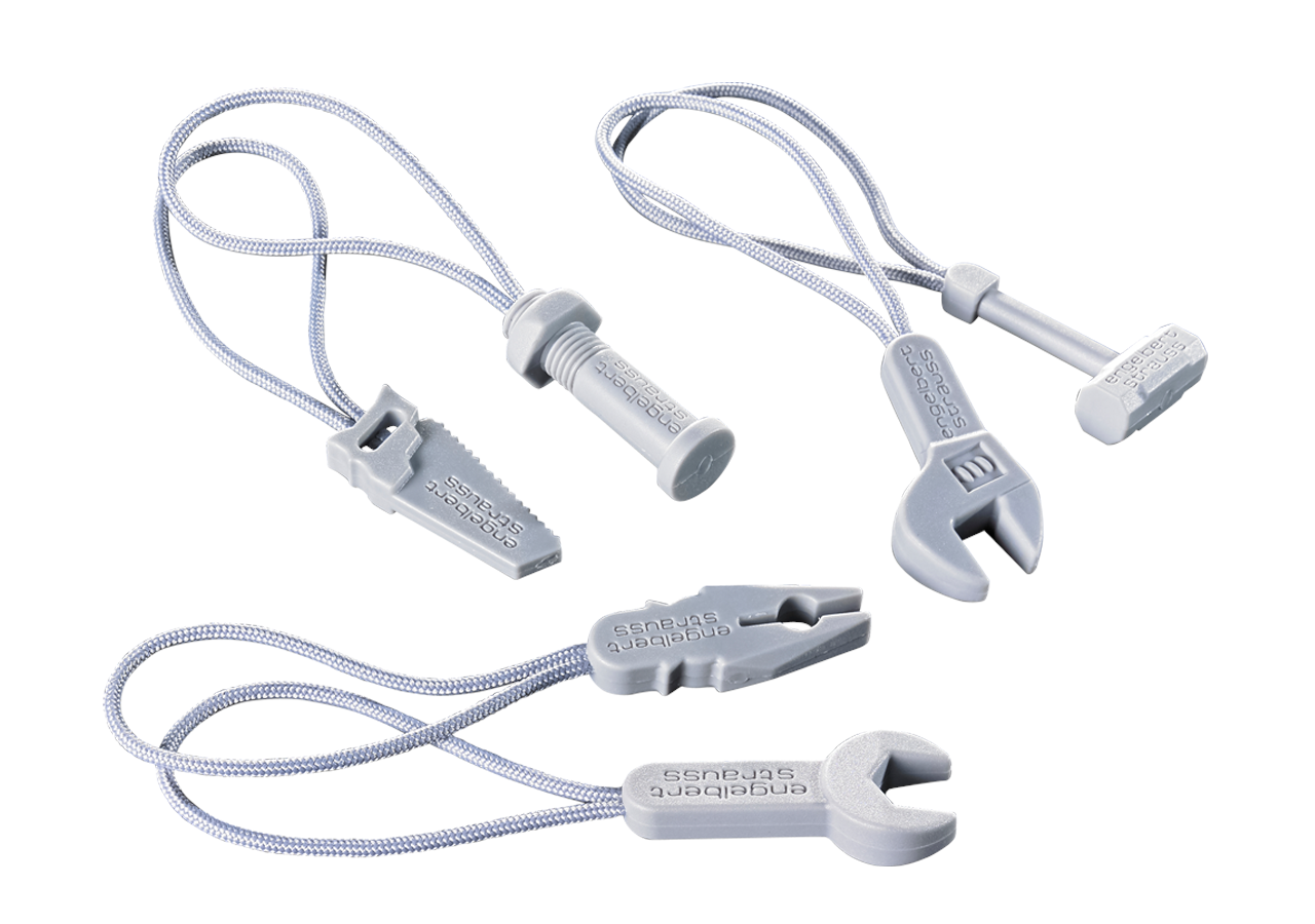 Accessories: Zip puller set e.s.motion 2020 + platinum