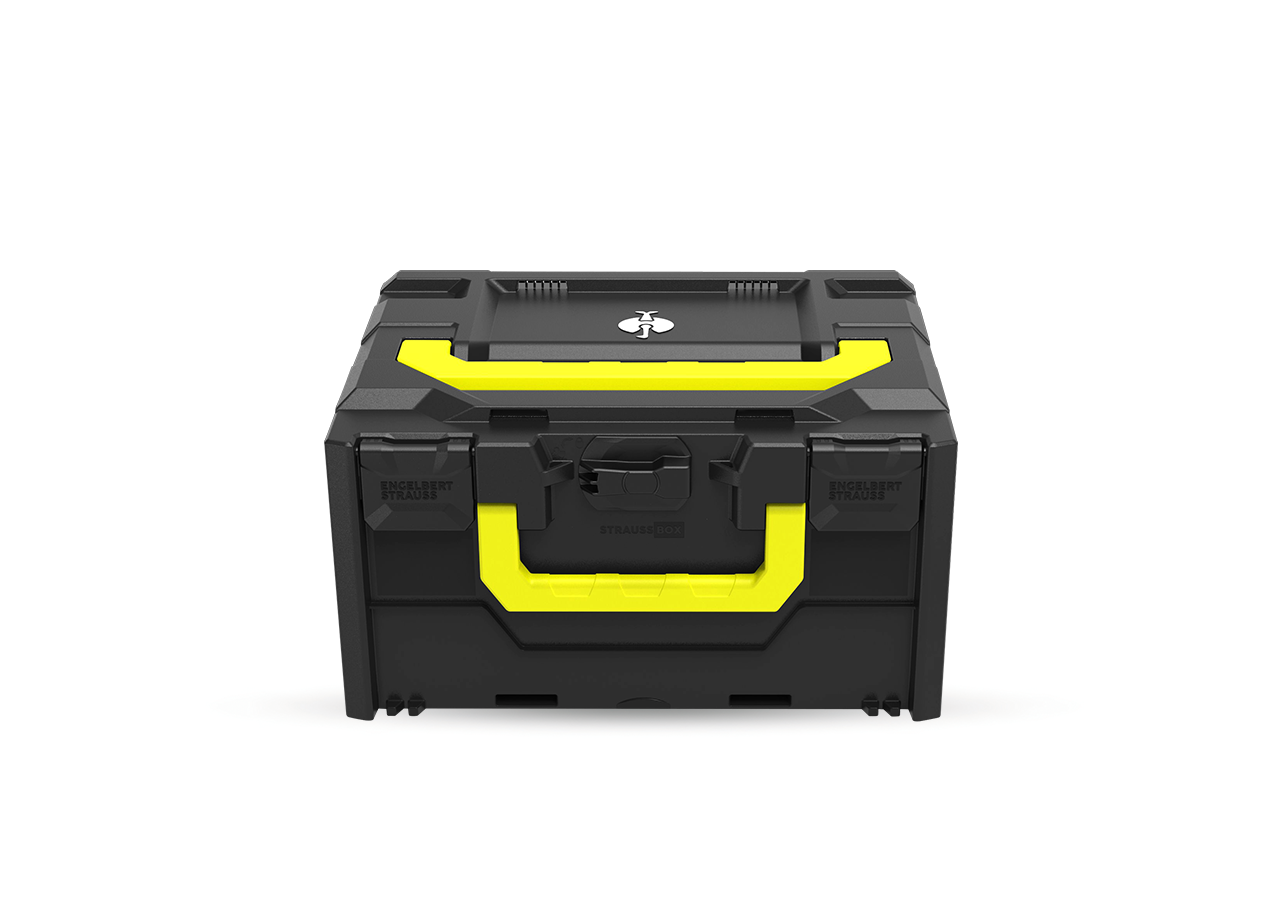 STRAUSSbox System: STRAUSSbox 215 midi Color + svart