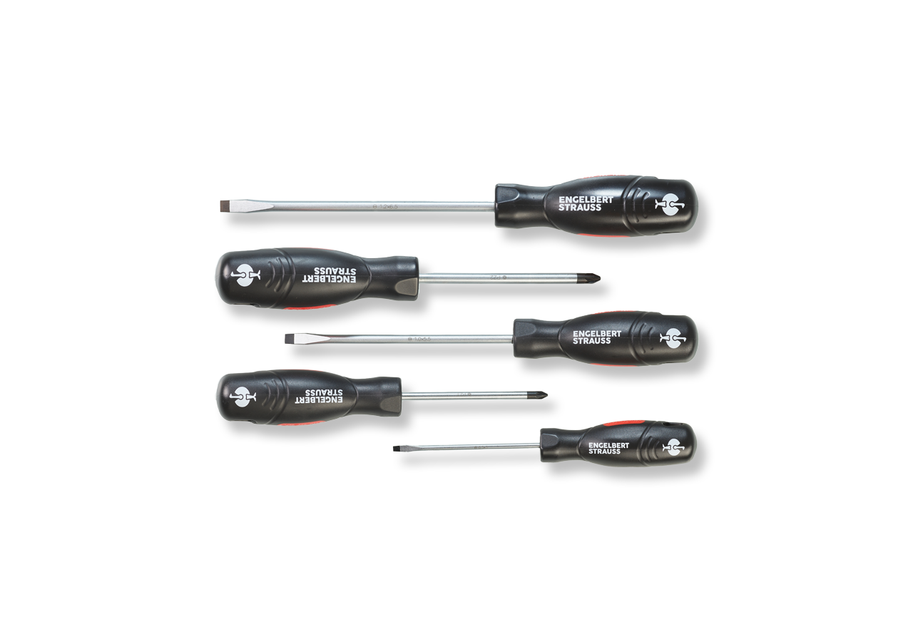 Screwdrivers: e.s. 5-part screwdriver set