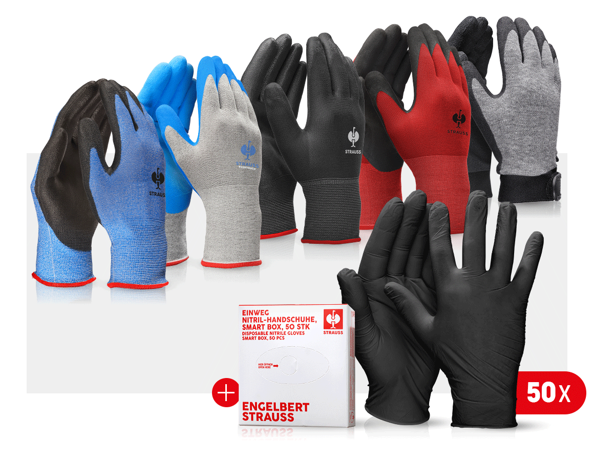 Personal Protection: Professional glove set automobile III