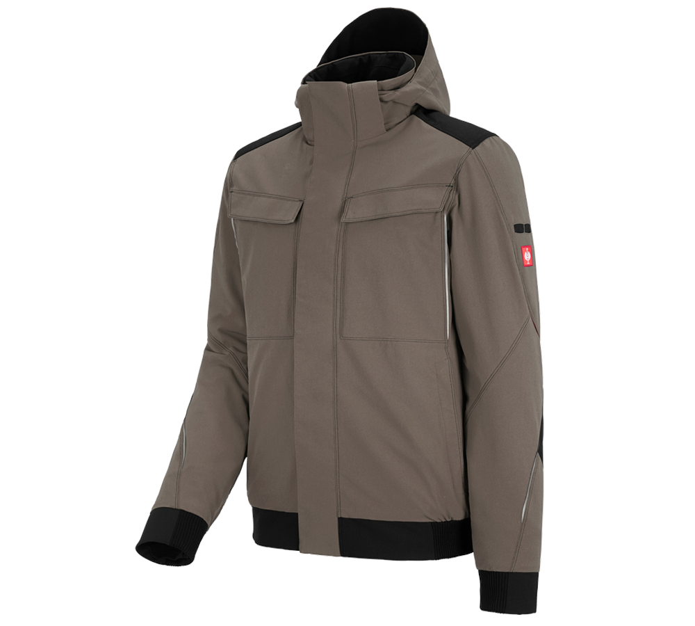 Gardening / Forestry / Farming: Winter functional jacket e.s.dynashield + stone/black