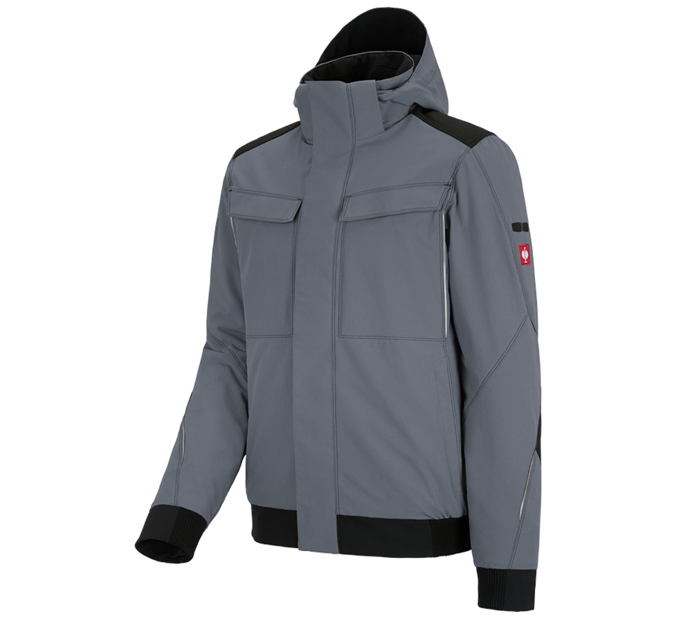 Gardening / Forestry / Farming: Winter functional jacket e.s.dynashield + cement/black