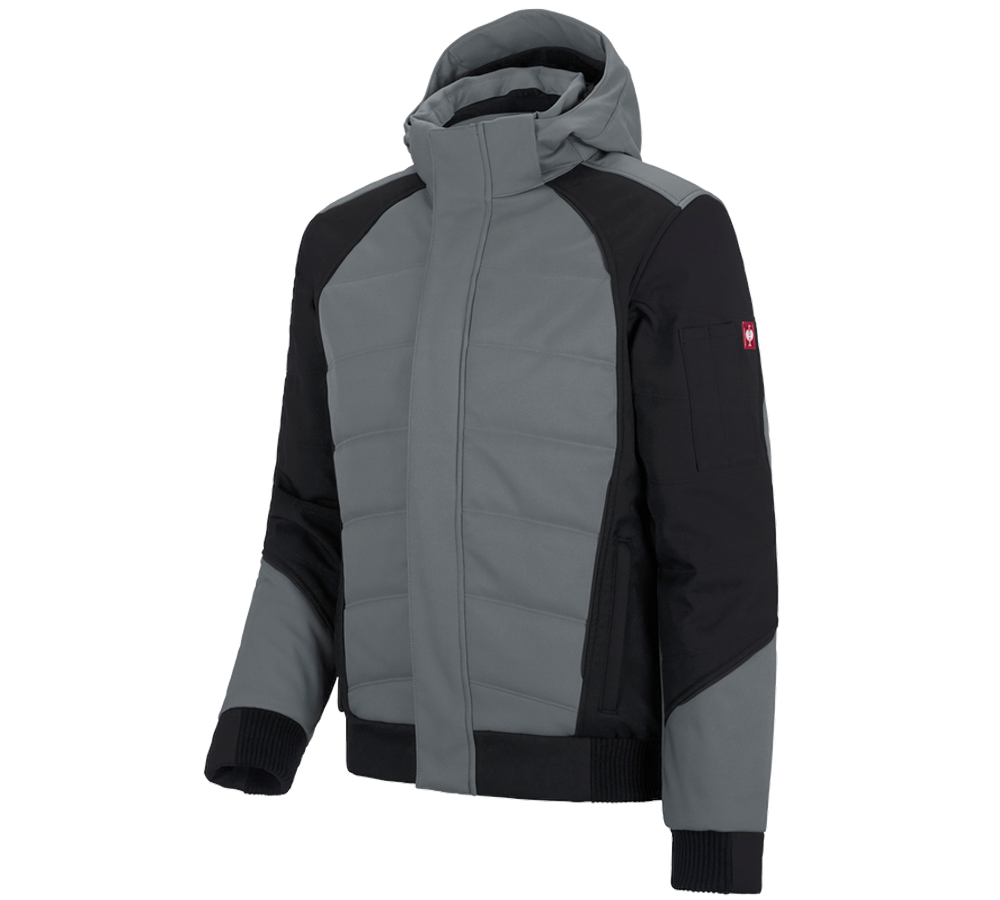 Gardening / Forestry / Farming: Winter softshell jacket e.s.vision + cement/black