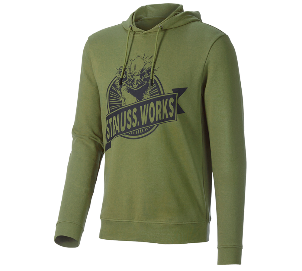 Kläder: Hoody-Sweatshirt e.s.iconic works + berggrön