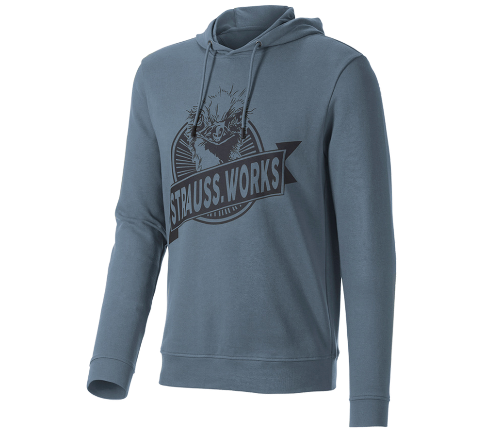 Överdelar: Hoody-Sweatshirt e.s.iconic works + oxidblå