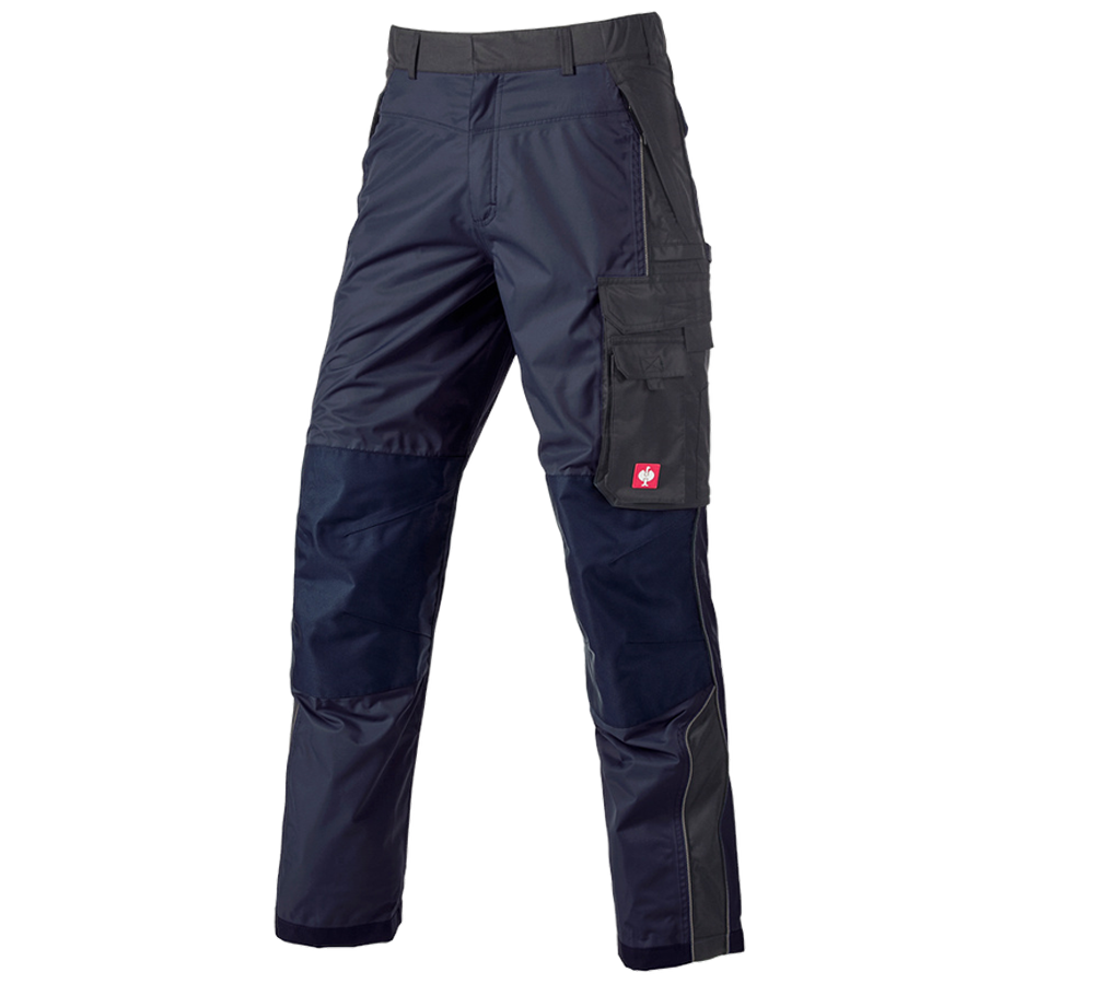 Gardening / Forestry / Farming: Functional trousers e.s.prestige + navy/black