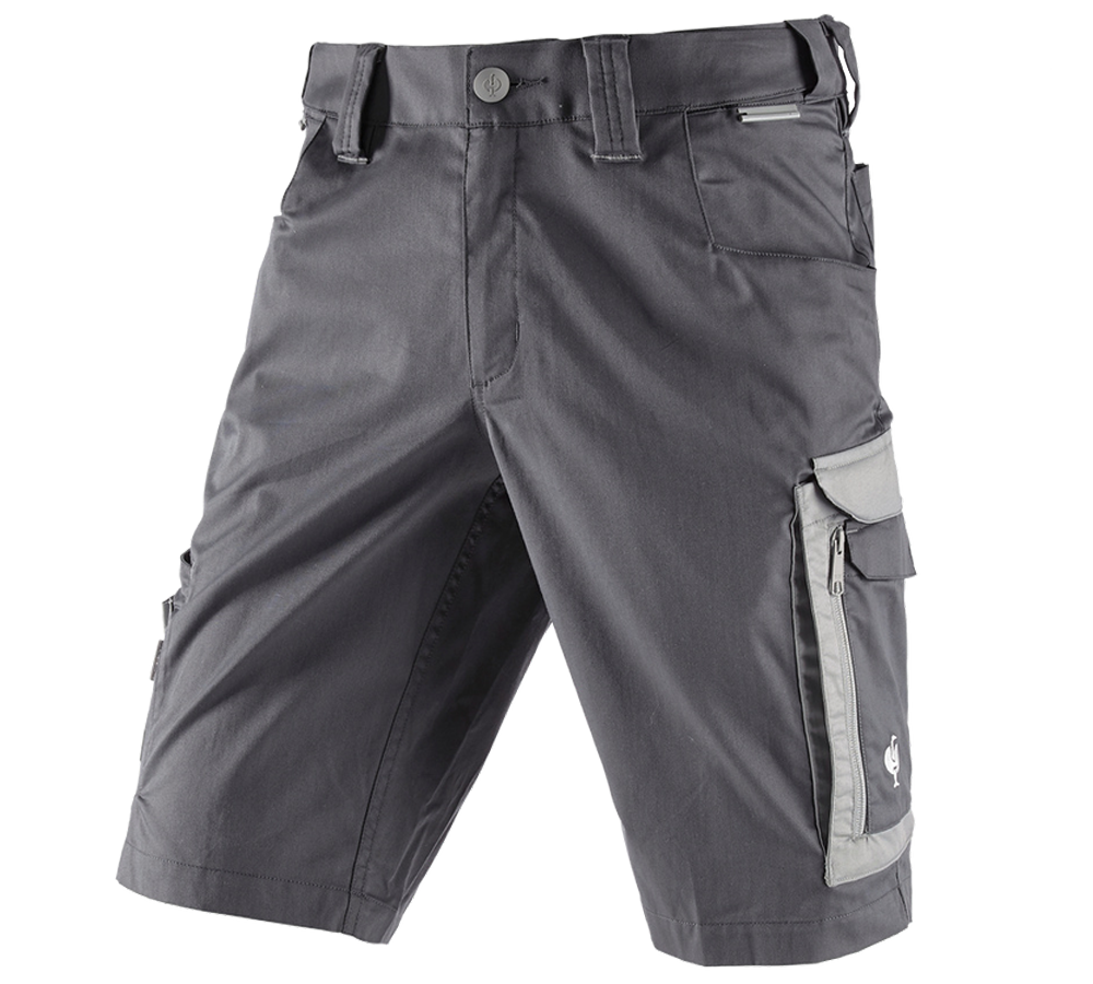Work Trousers: Shorts e.s.concrete light + anthracite/pearlgrey