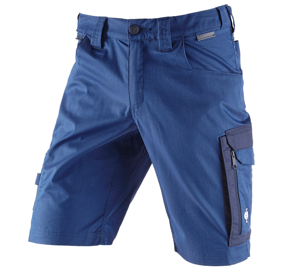 Work Trousers: Shorts e.s.concrete light + alkaliblue/deepblue