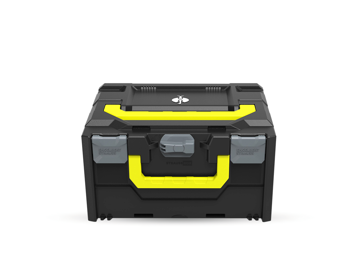 STRAUSSbox System: STRAUSSbox 215 midi Color + antracit