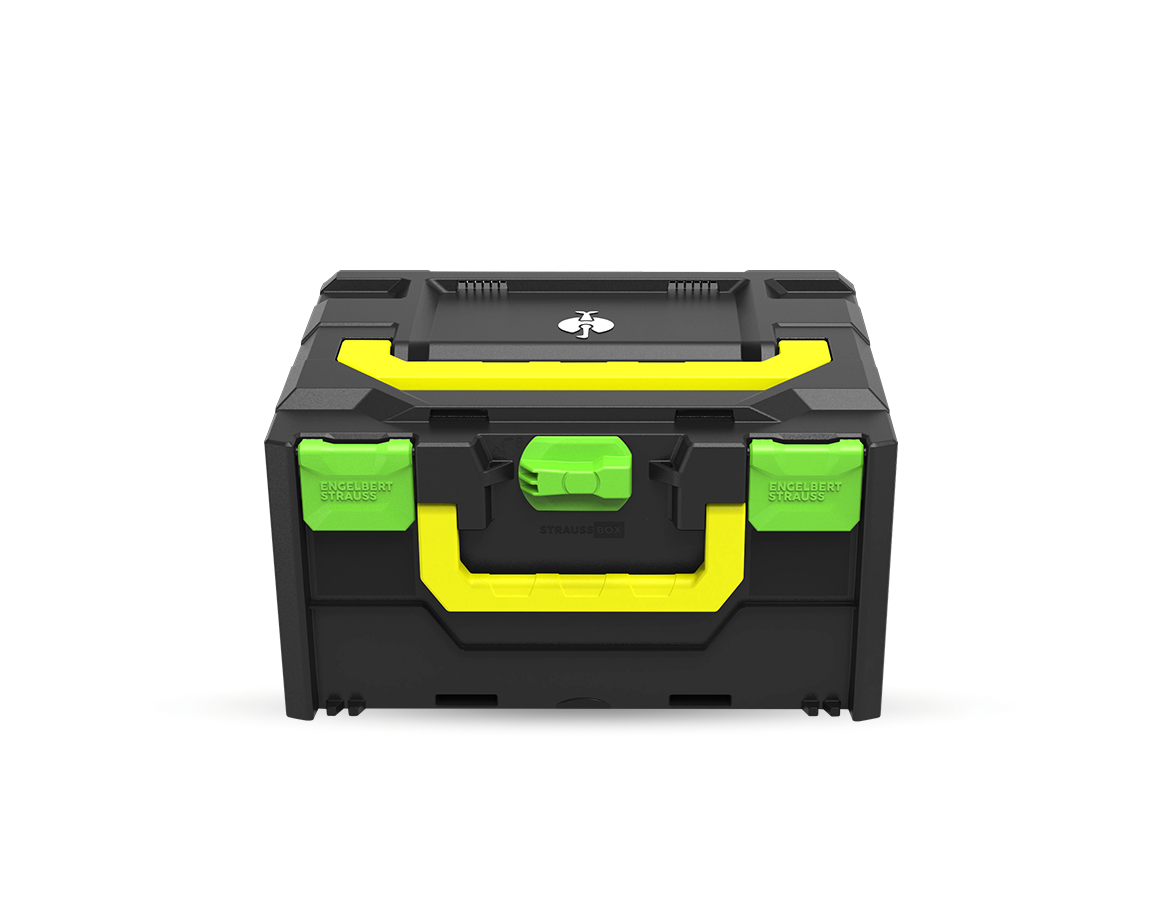 STRAUSSbox System: STRAUSSbox 215 midi Color + sjögrön