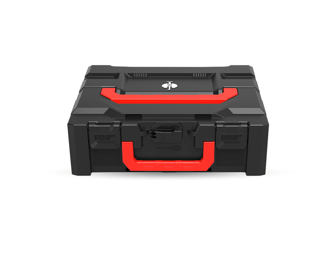 STRAUSSbox System: STRAUSSbox 145 midi+ Color + svart