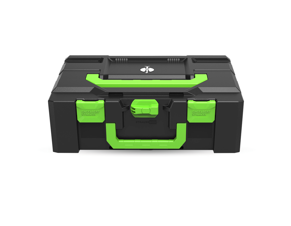 STRAUSSbox System: STRAUSSbox 165 large Color + sjögrön