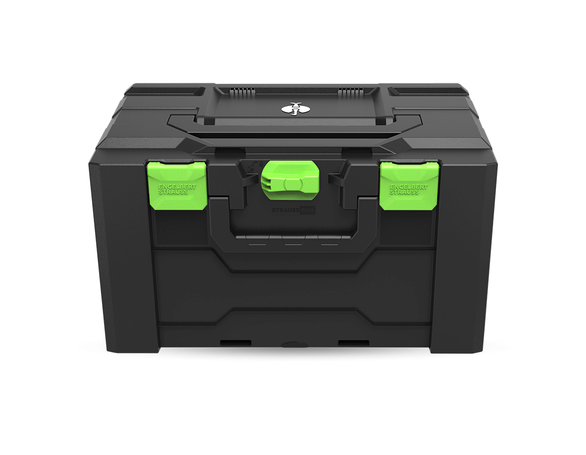 STRAUSSbox System: STRAUSSbox 280 large Color + sjögrön