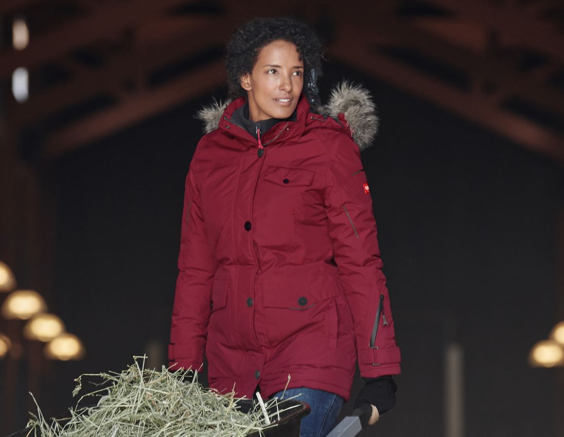 Gardening / Forestry / Farming: Winter parka e.s.vision, ladies' + ruby