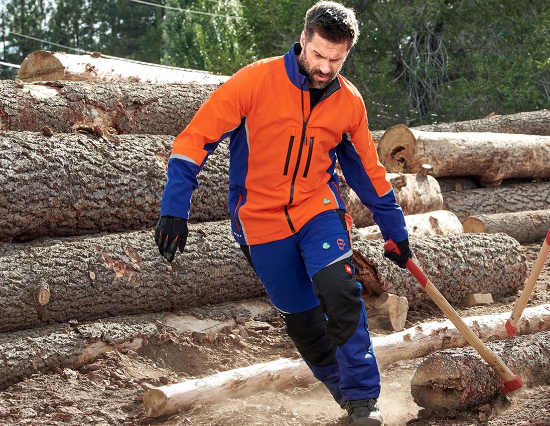 Forestry / Cut Protection Clothing: e.s. Forestry jacket, KWF + royal/high-vis orange 1