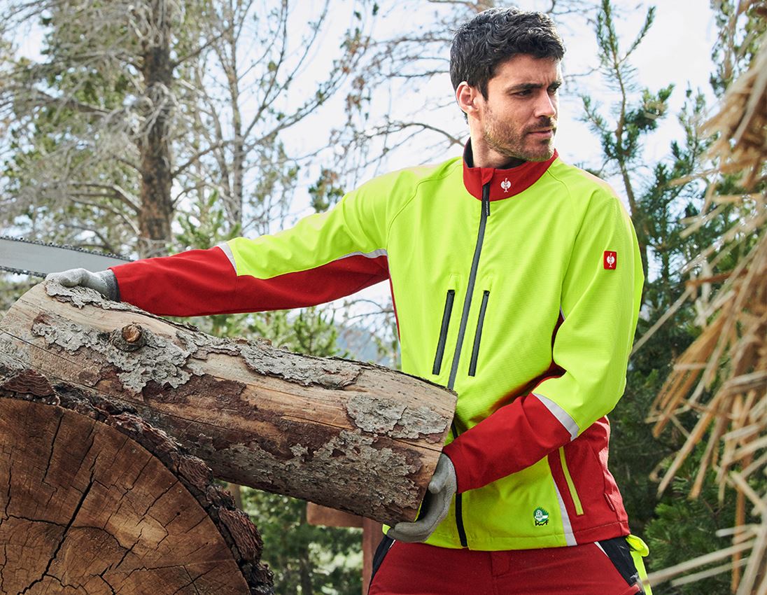 Gardening / Forestry / Farming: e.s. Forestry jacket, KWF + red/high-vis yellow 1