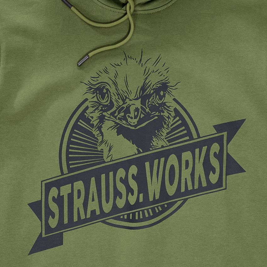 Överdelar: Hoody-Sweatshirt e.s.iconic works + berggrön 2