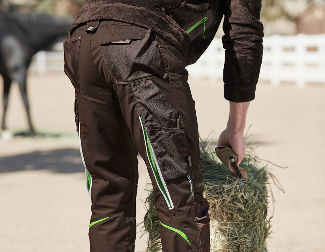 Gardening / Forestry / Farming: Trousers e.s.motion 2020 + chestnut/seagreen 1