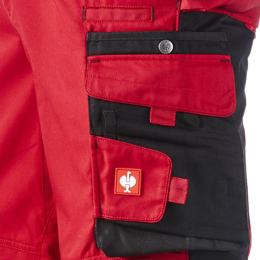 Gardening / Forestry / Farming: Trousers e.s.motion Winter + red/black 2