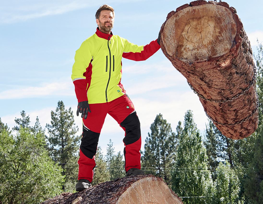 Forestry / Cut Protection Clothing: e.s. Forestry cut protection trousers, KWF + red/high-vis yellow 1