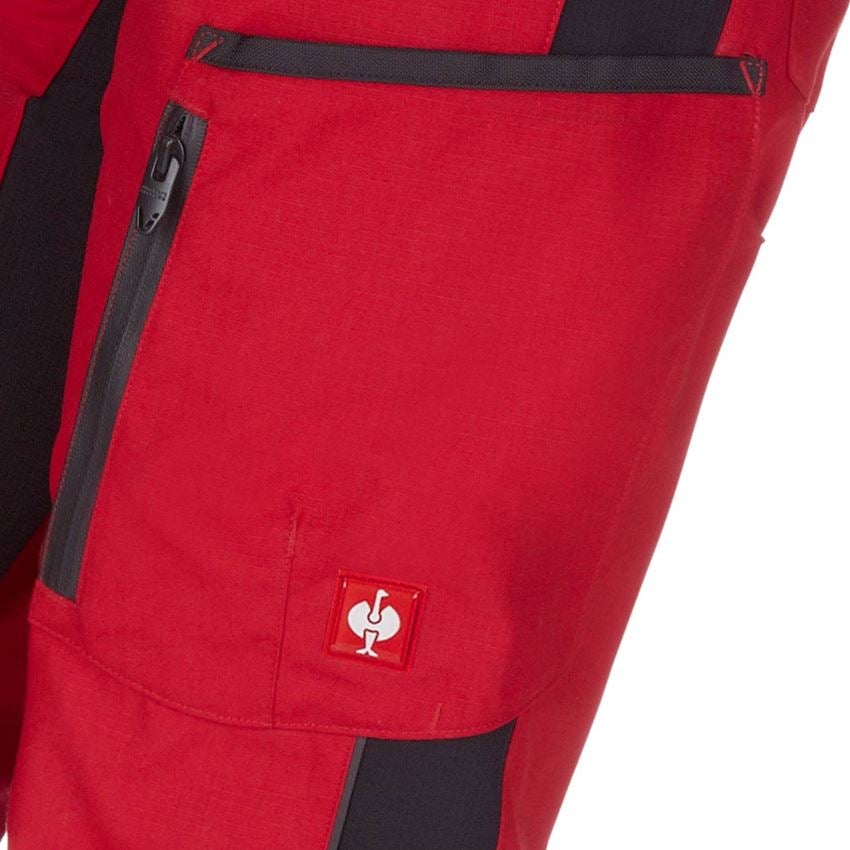 Gardening / Forestry / Farming: Ladies' trousers e.s.vision + red/black 2