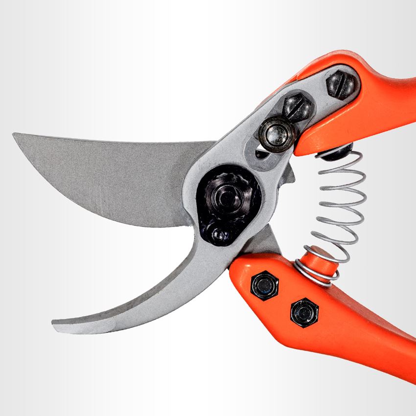 Scissors: Bypass shears Löwe 11 2