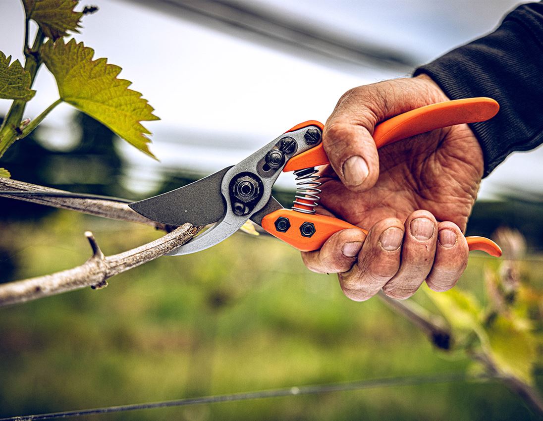 Scissors: Bypass shears Löwe 11