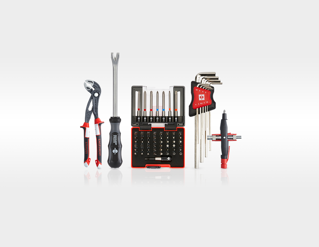 Tool Cases: Tool set Elektro Meister pro incl. tool trolley 10