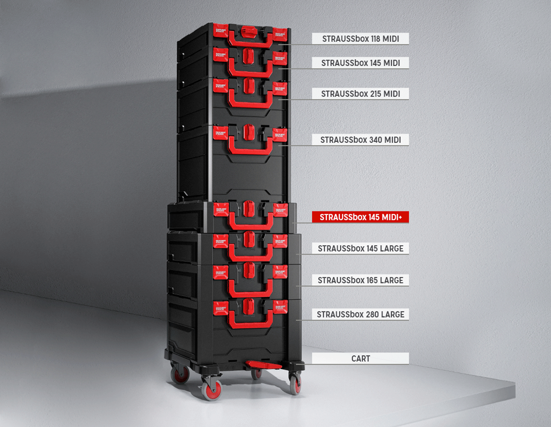 STRAUSSbox System: Socket wrench set pro 1/4+3/8+1/2 in STRAUSSbox 3