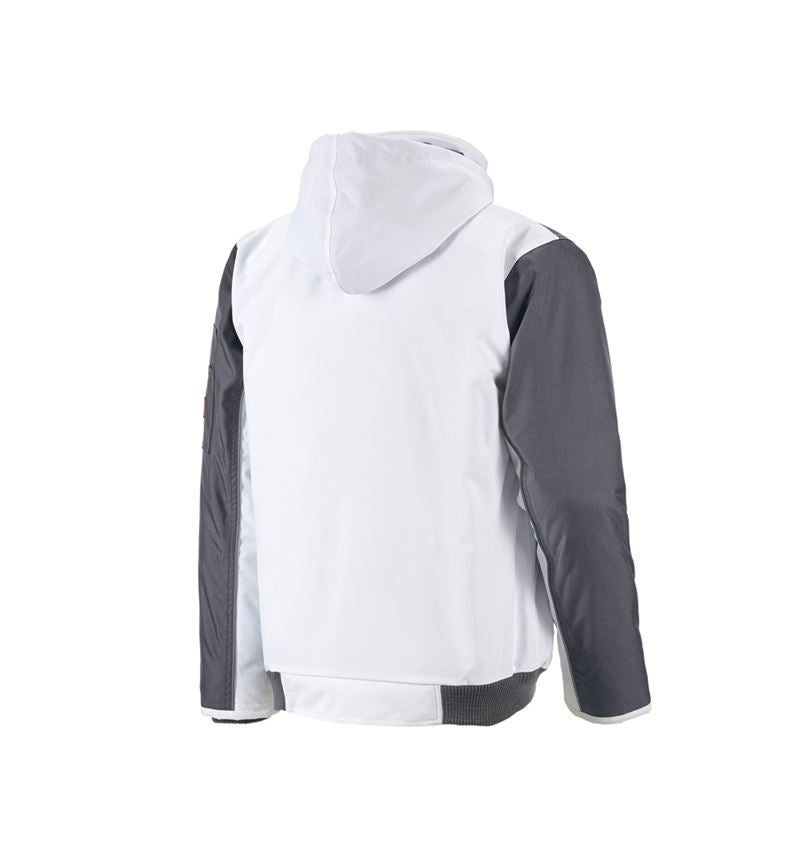 Topics: Pilot jacket e.s.image  + white/grey 1