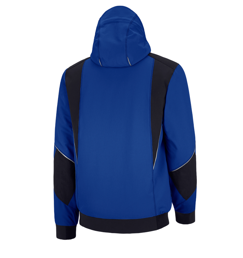 Cold: Winter functional jacket e.s.dynashield + royal/black 3