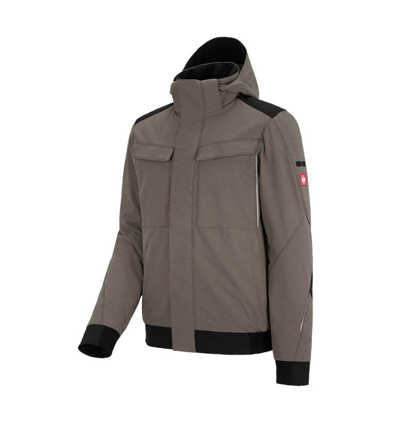 Gardening / Forestry / Farming: Winter functional jacket e.s.dynashield + stone/black 2