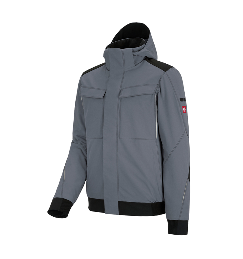 Gardening / Forestry / Farming: Winter functional jacket e.s.dynashield + cement/black 2
