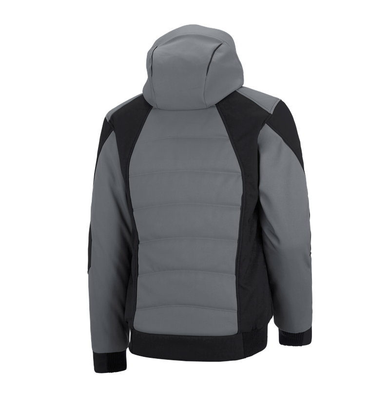 Gardening / Forestry / Farming: Winter softshell jacket e.s.vision + cement/black 3