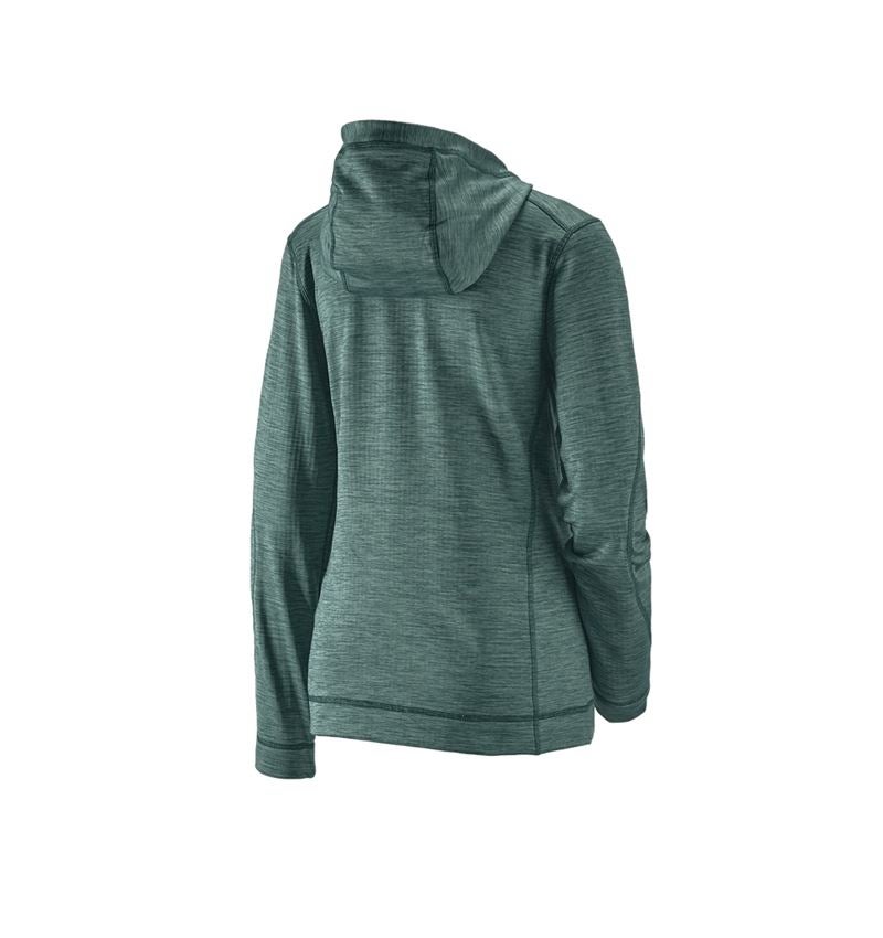 Gardening / Forestry / Farming: Hooded jacket isocell e.s.dynashield, ladies' + specialgreen melange 3