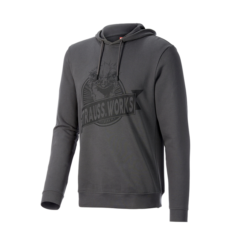 Överdelar: Hoody-Sweatshirt e.s.iconic works + karbongrå 3