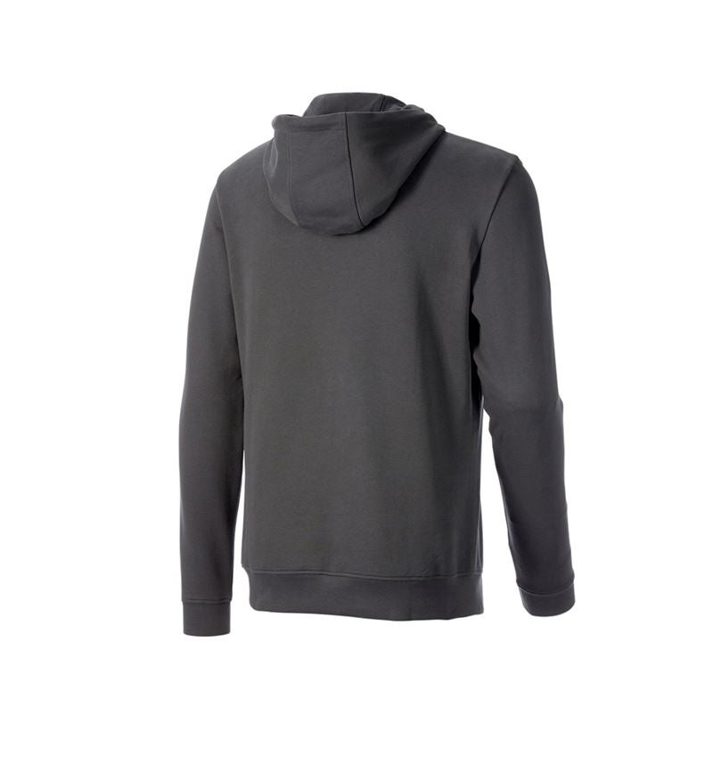 Teman: Hoody-Sweatshirt e.s.iconic works + karbongrå 4
