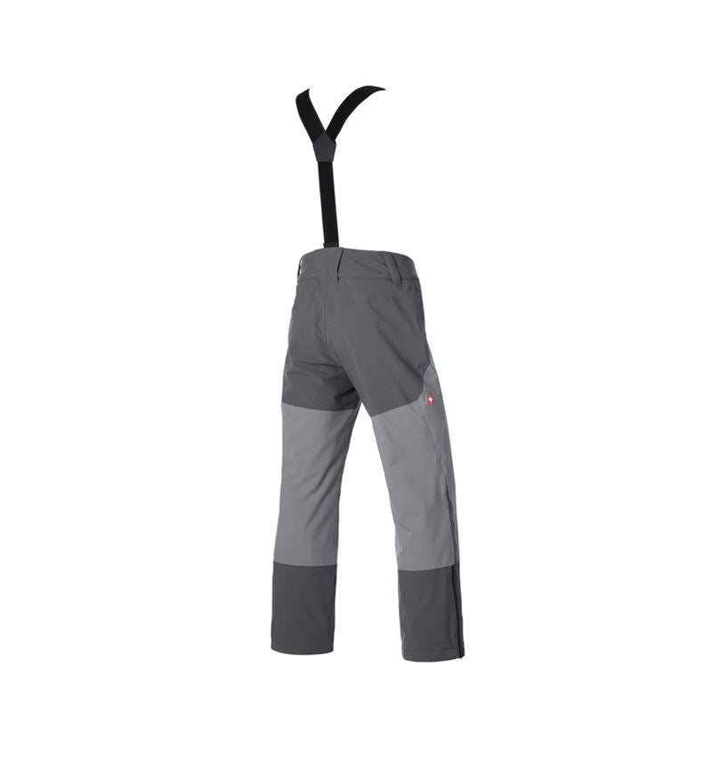 Work Trousers: Functional trousers e.s.trail snow + carbongrey/basaltgrey 6