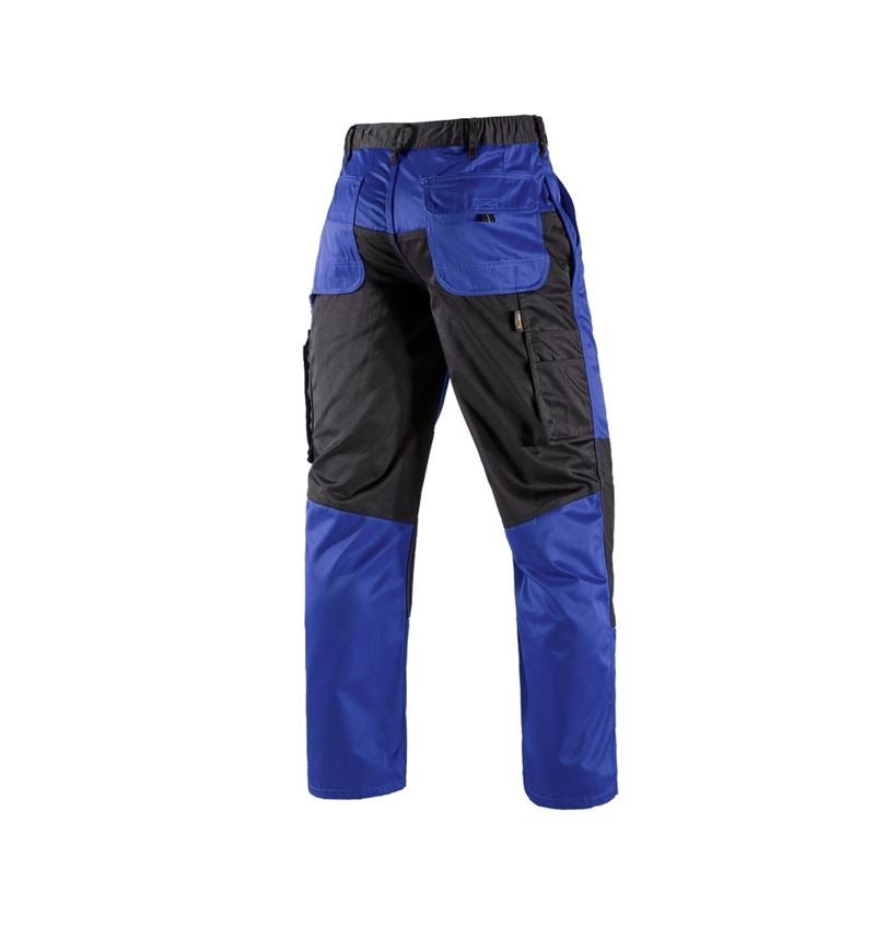 Gardening / Forestry / Farming: Trousers e.s.image + royal/black 7