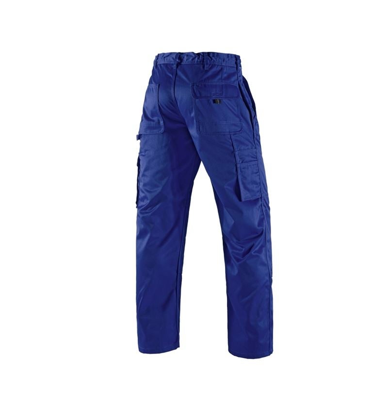 Gardening / Forestry / Farming: Trousers e.s.classic  + royal 3