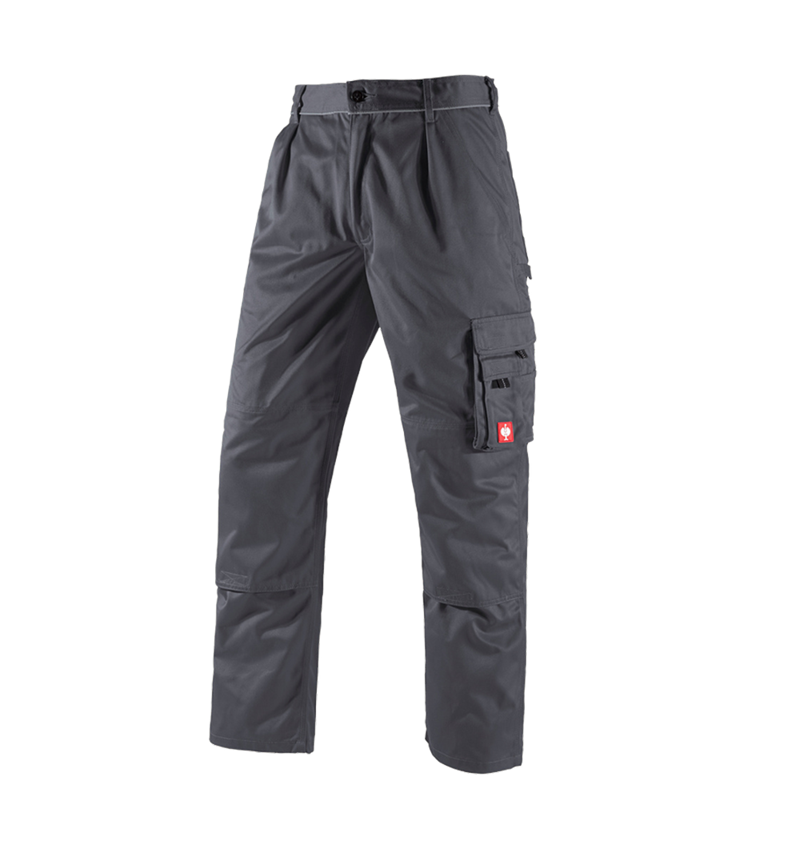 Gardening / Forestry / Farming: Trousers e.s.classic  + grey 2