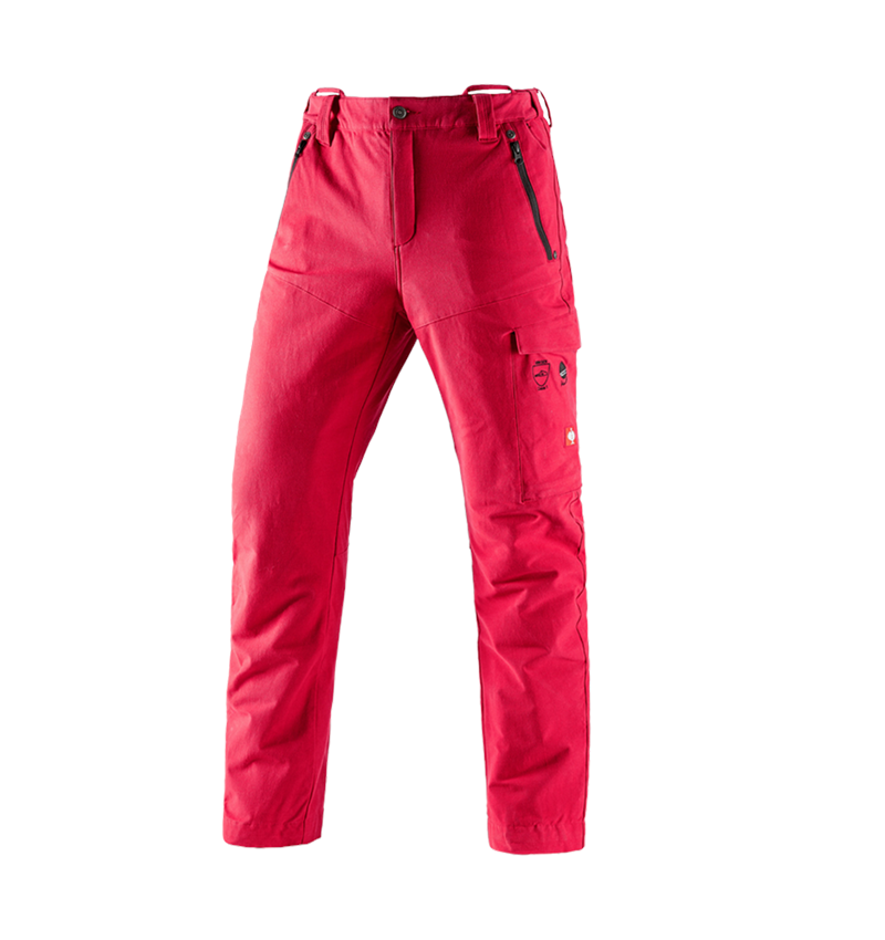 Gardening / Forestry / Farming: Forestry cut protection trousers e.s.cotton touch + fiery red 2