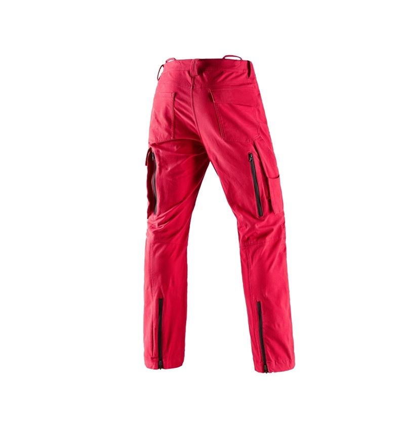 Gardening / Forestry / Farming: Forestry cut protection trousers e.s.cotton touch + fiery red 3