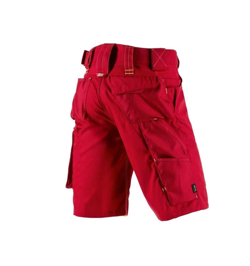 Gardening / Forestry / Farming: Shorts e.s.motion 2020 + fiery red/high-vis yellow 3