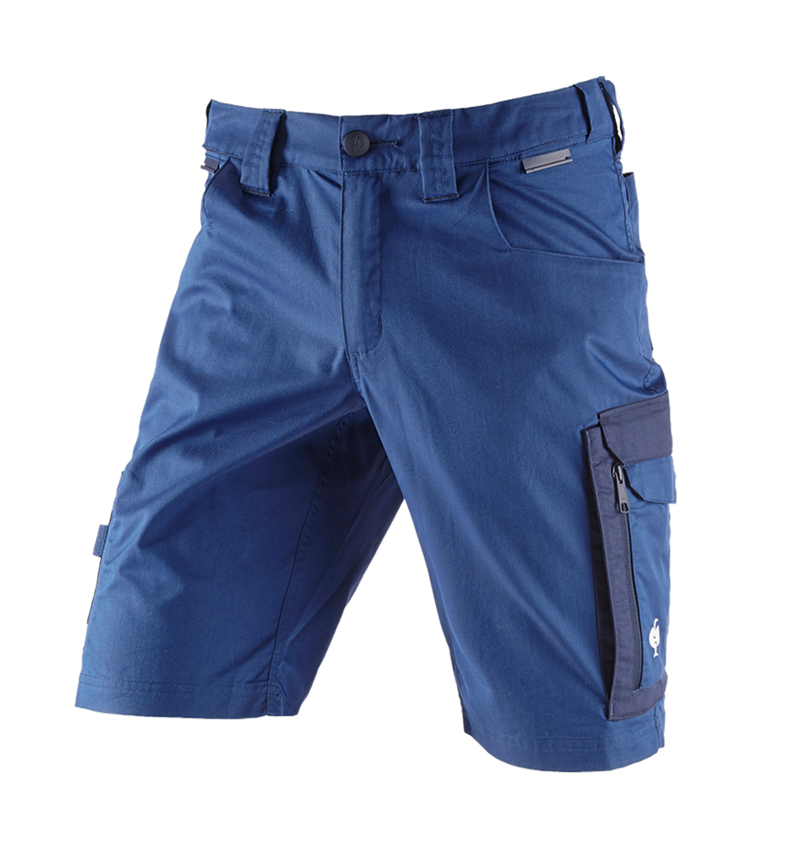 Work Trousers: Shorts e.s.concrete light + alkaliblue/deepblue 3