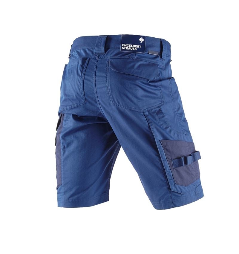 Work Trousers: Shorts e.s.concrete light + alkaliblue/deepblue 4