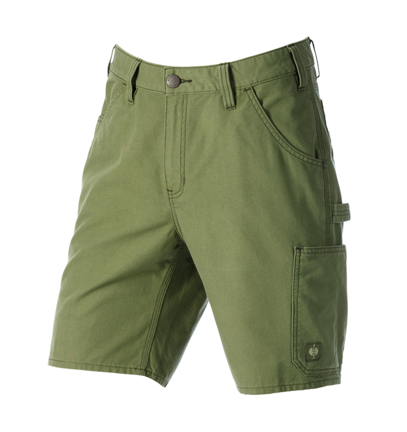 Arbetsbyxor: Shorts e.s.iconic + berggrön 6